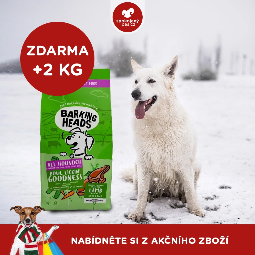 akční leden1_cz.webp